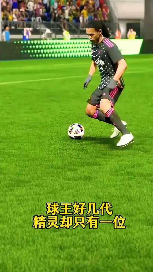 鱼与熊掌不