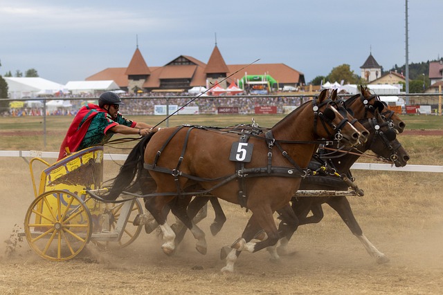 石家庄功夫 石家庄功夫
