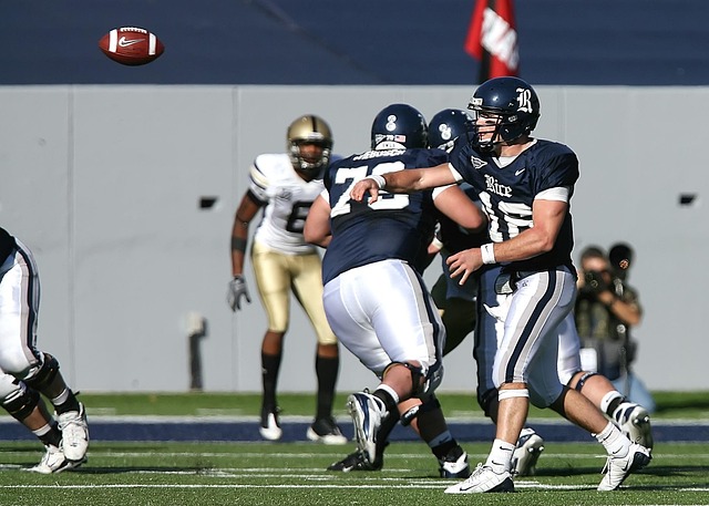 商业传播的 商业传播的